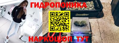 гашик Комсомольск-на-Амуре
