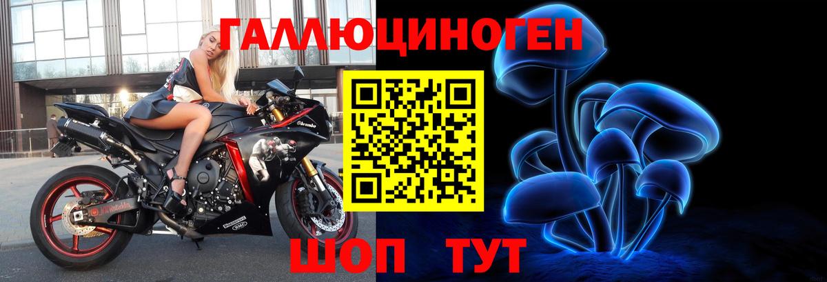 Псилоцибиновые грибы Magic Shrooms Карталы